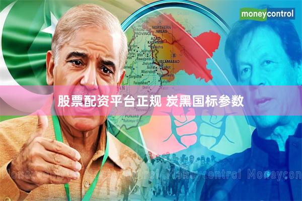 股票配资平台正规 炭黑国标参数