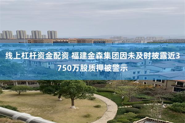 线上杠杆资金配资 福建金森集团因未及时披露近3750万股质押被警示