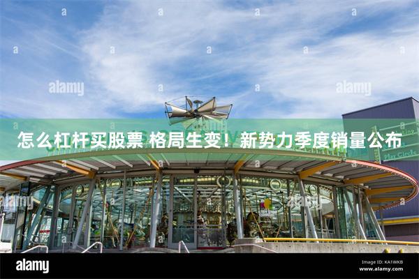 怎么杠杆买股票 格局生变！新势力季度销量公布