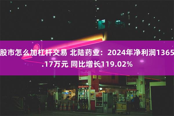 股市怎么加杠杆交易 北陆药业：2024年净利润1365.17万元 同比增长119.02%