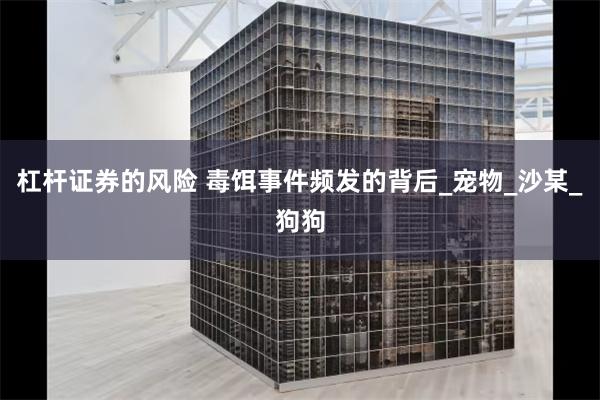 杠杆证券的风险 毒饵事件频发的背后_宠物_沙某_狗狗