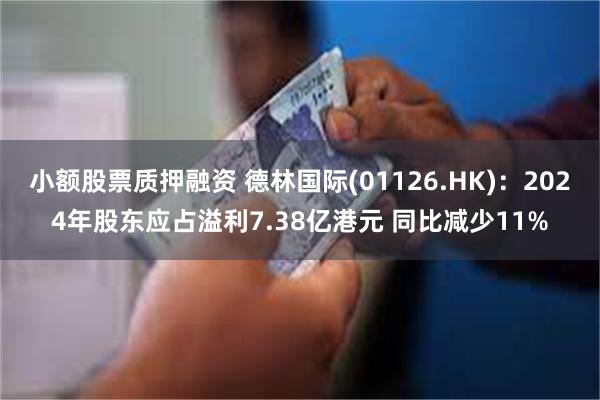 小额股票质押融资 德林国际(01126.HK)：2024年股东应占溢利7.38亿港元 同比减少11%