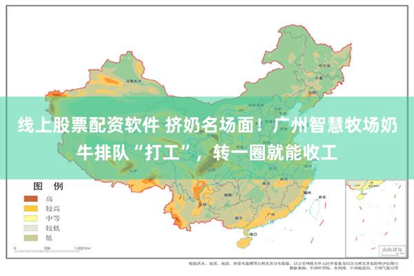 线上股票配资软件 挤奶名场面！广州智慧牧场奶牛排队“打工”，转一圈就能收工