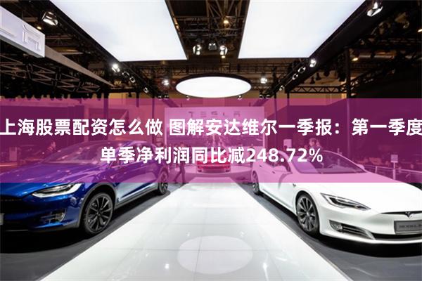 上海股票配资怎么做 图解安达维尔一季报：第一季度单季净利润同比减248.72%