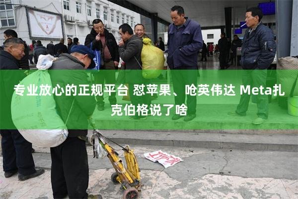 专业放心的正规平台 怼苹果、呛英伟达 Meta扎克伯格说了啥
