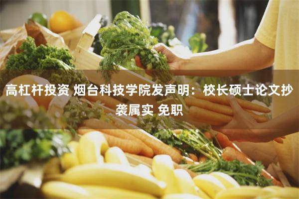 高杠杆投资 烟台科技学院发声明：校长硕士论文抄袭属实 免职