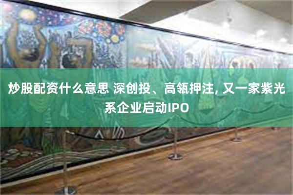 炒股配资什么意思 深创投、高瓴押注, 又一家紫光系企业启动IPO