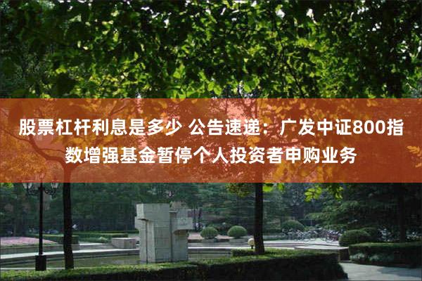 股票杠杆利息是多少 公告速递：广发中证800指数增强基金暂停个人投资者申购业务