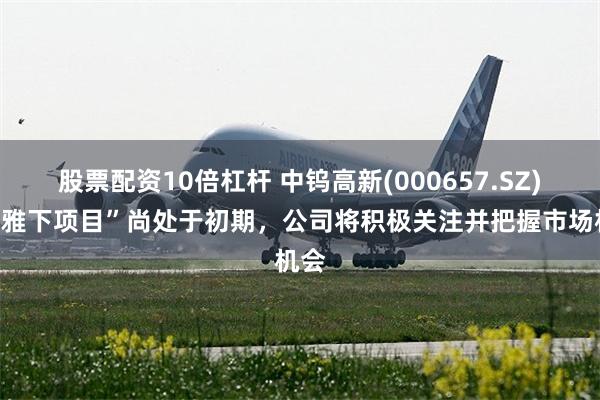 股票配资10倍杠杆 中钨高新(000657.SZ)：“雅下项目”尚处于初期，公司将积极关注并把握市场机会