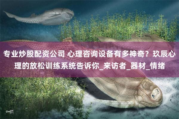 专业炒股配资公司 心理咨询设备有多神奇？玖辰心理的放松训练系统告诉你_来访者_器材_情绪